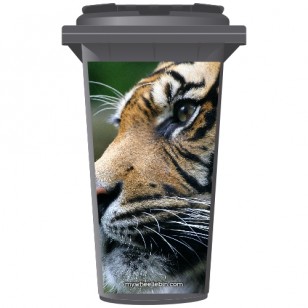 Big Cat Tigers Face Wheelie Bin Sticker Panel